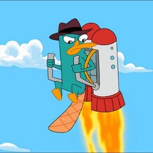 Meet your Posher, Max